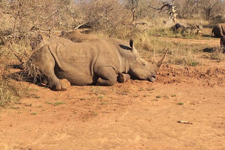2 Days Cultural Swaziland Hlane National Park
