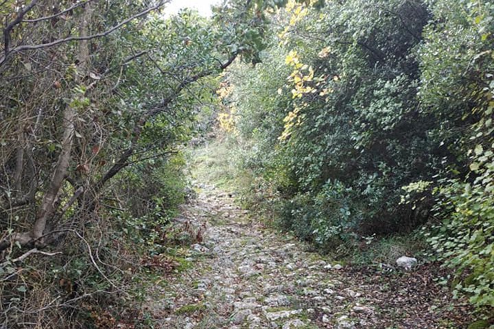 Hiking in Tyros Arcadia