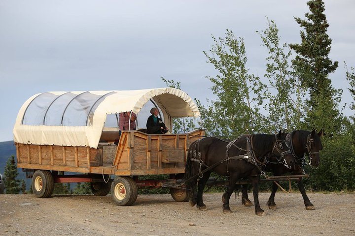 Horse-Drawn Covered Wagon Ride with Backcountry Dining