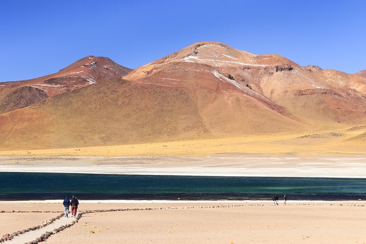 4-Day Best of Atacama: Moon Valley, Tatio Geysers and Altiplanic Lagoons