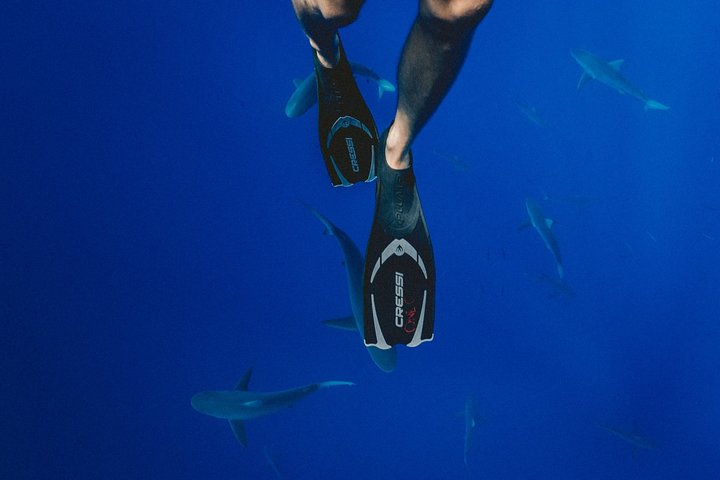 Maafushi: Discover Scuba Diving in Maldives (for Beginners)
