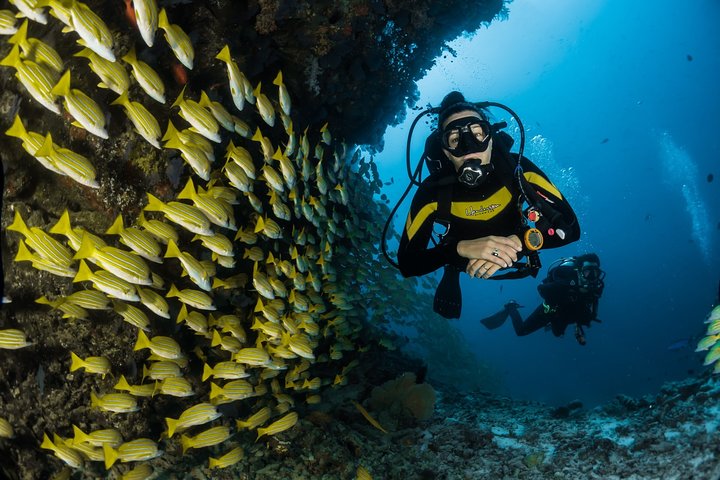 Maafushi: Discover Scuba Diving in Maldives (for Beginners)