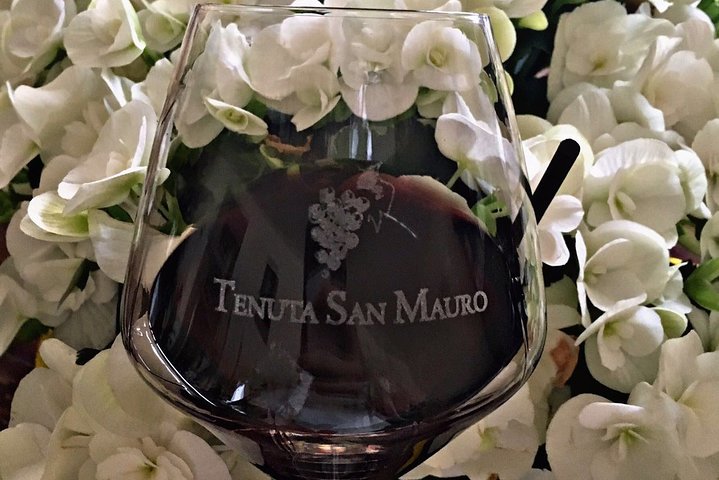Classic Private Wine Tasting in Castagnole delle Lanze