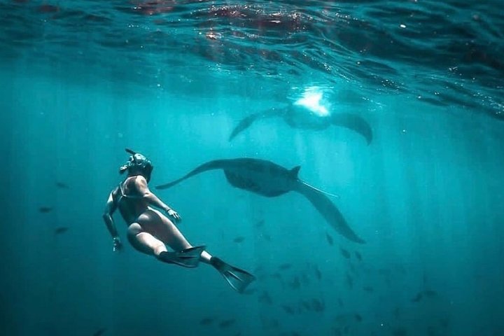 Snorkeling Manta Ray Safari in Nusa Penida