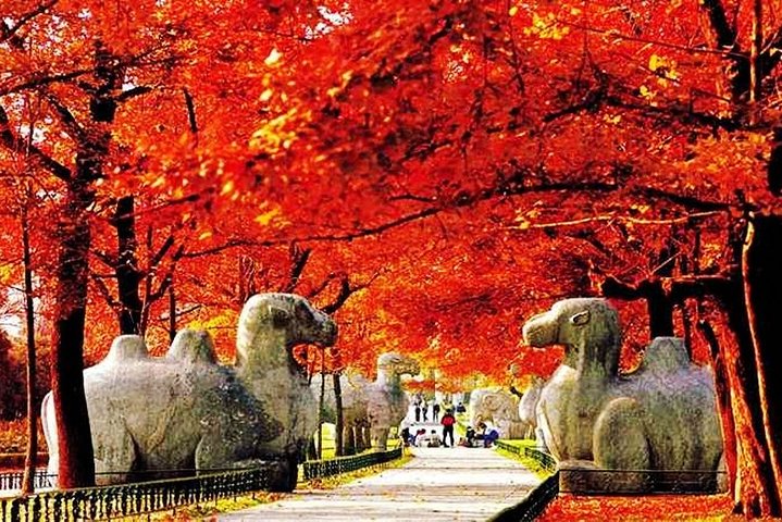 2-Day Nanjing Private Flexible Customized Tour with Lunch Option
