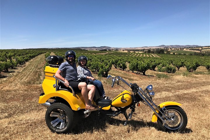 Unique Trike Barossa Valley Half Day Private Tour For 2