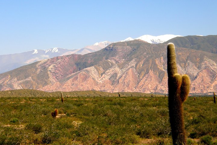 Promotion of 3 Excursions: Cafayate + Cachi + Salinas