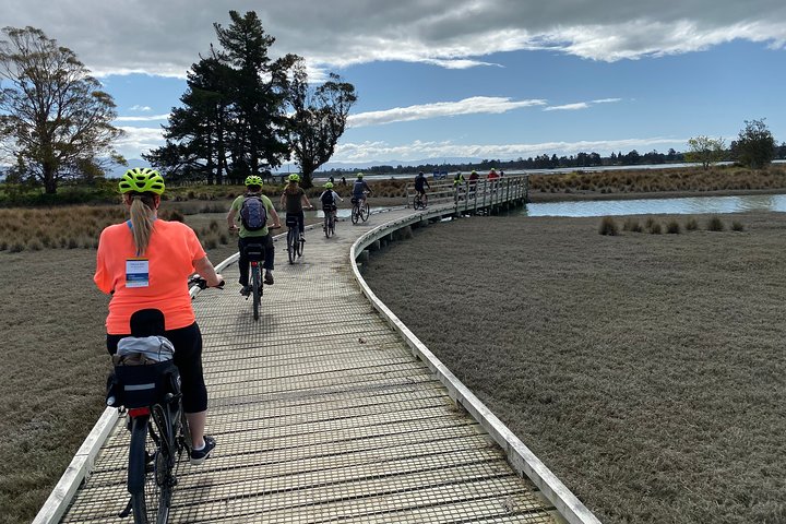 Nelson to Mapua: Full-Day Self-Guided Cycling Adventure