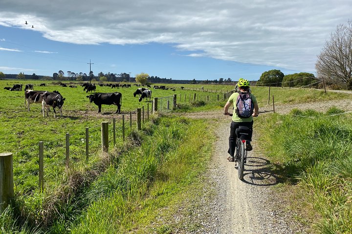 Nelson to Mapua: Full-Day Self-Guided Cycling Adventure