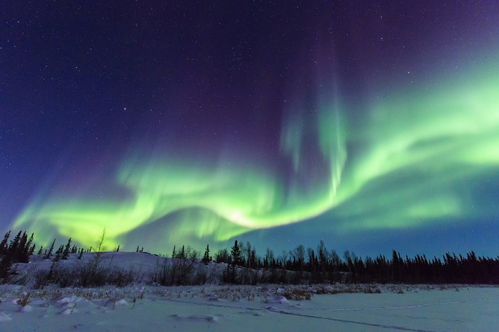 Yellowknife Tours - Aurora by bus