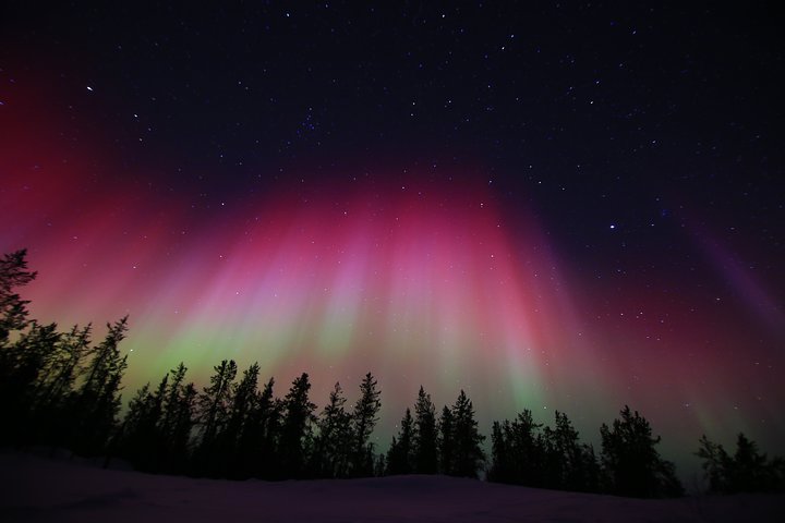 Yellowknife Tours - Aurora by bus