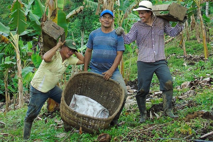 Explore the Coffee Process_From Tree to Cup & Fun by Jeep