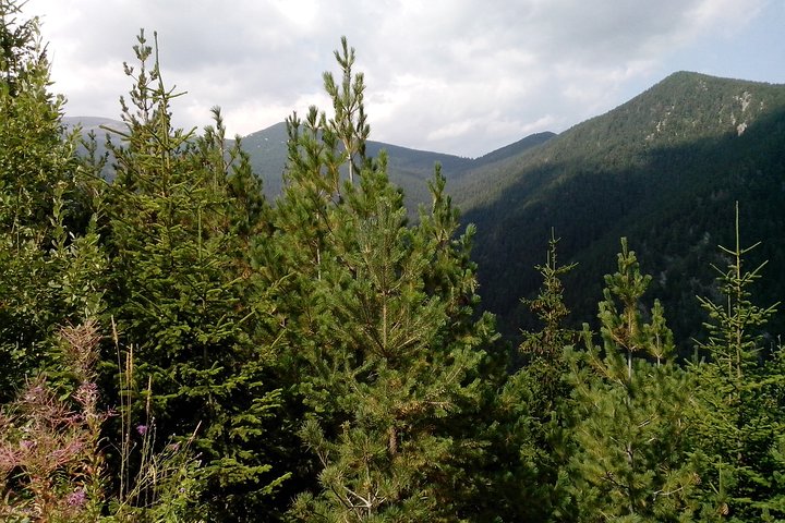 Private Teteven Horse Riding Experience from Sofia with Overnight