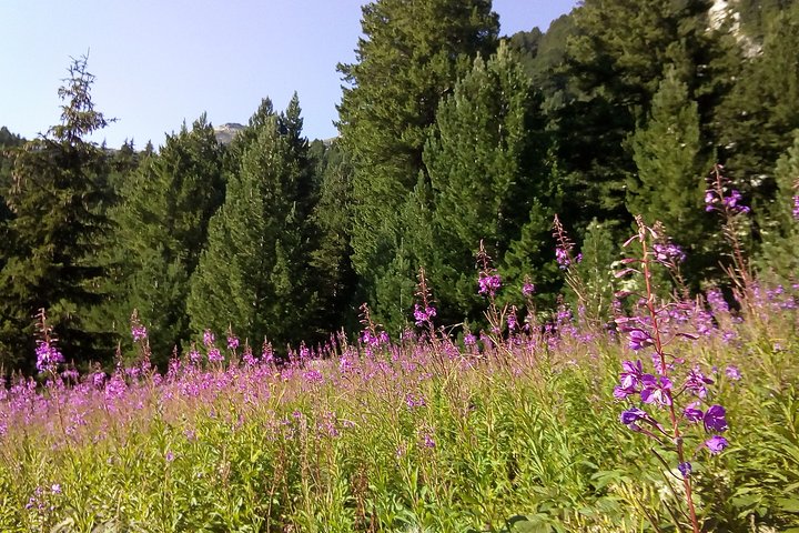 Private & Tremendous Jeep Safari in the 7 Rila Lakes area