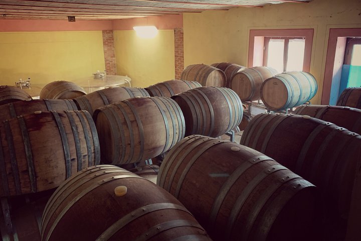 Private Tasting Barbaresco Experience with Typical Products