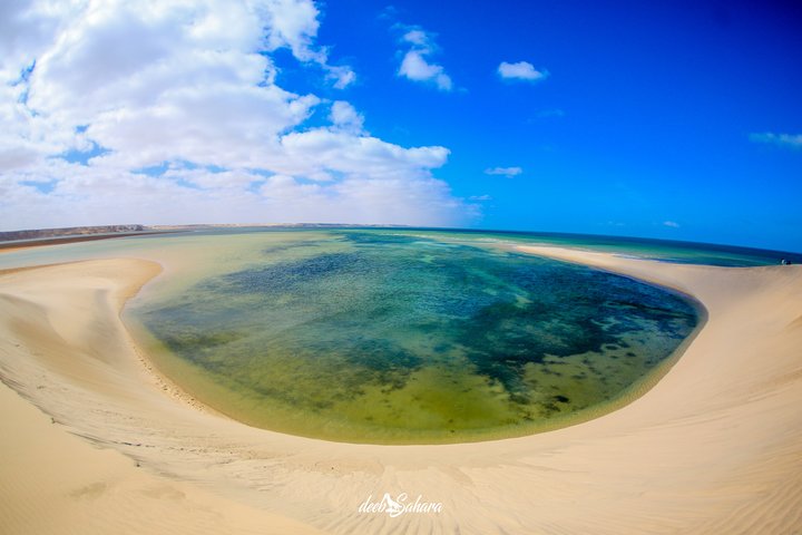 Desert Experience-FullTour-Excursion- White Dune/Puerto Rico/Imlili