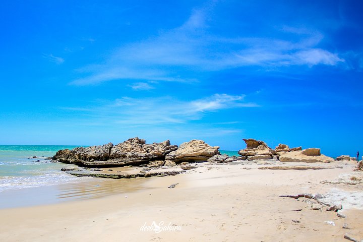 Desert Experience-FullTour-Excursion- White Dune/Puerto Rico/Imlili