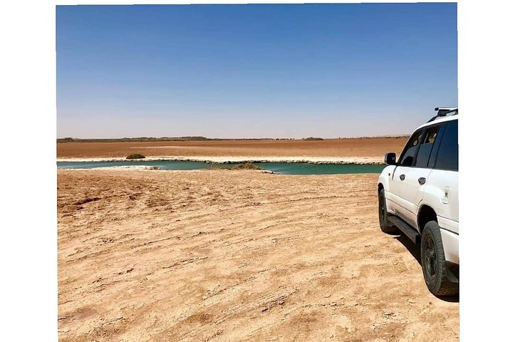 Desert Experience-FullTour-Excursion- White Dune/Puerto Rico/Imlili