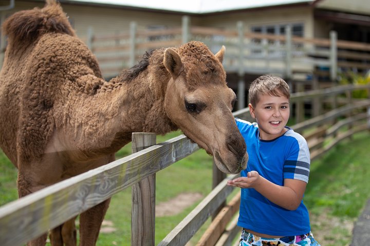 White Ridge Farm: Day Entry ticket