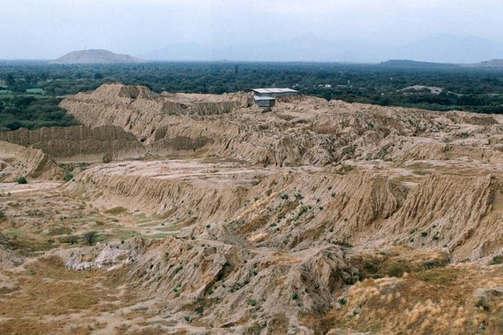 Tucume Pyramids and Royal Tombs of Sipan Museum Tour