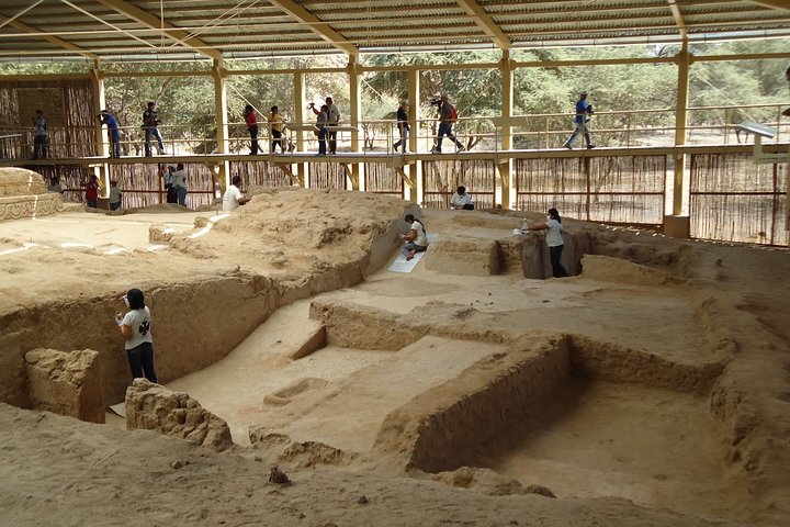 Tucume Pyramids and Royal Tombs of Sipan Museum Tour