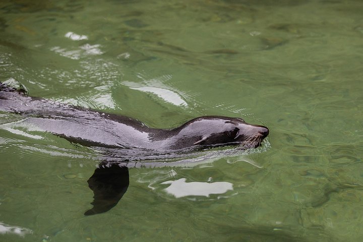 Private boat charter in Abel Tasman National Park