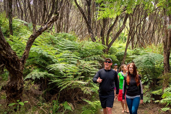Private boat charter in Abel Tasman National Park