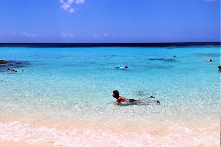 Best Highlight Island Tour - Perfect Day Tour. Small group Tour
