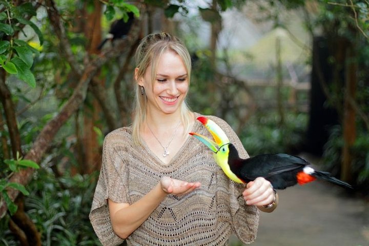 La Paz Waterfall Gardens and Wildlife Refuge Tour from San Jose