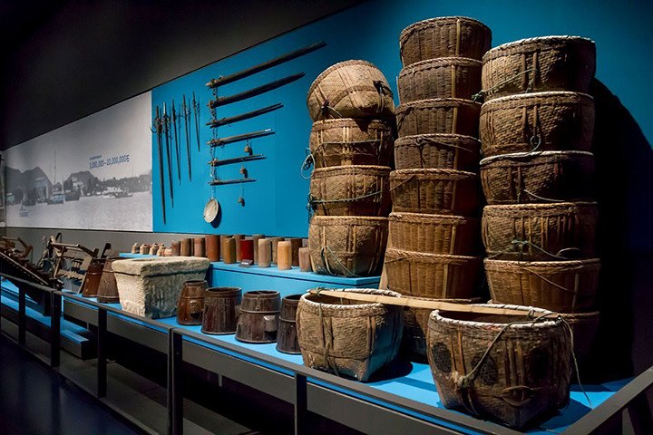 Private Changsha Historic and Cultural Tour to Provincial Museum and Yuelu Mount