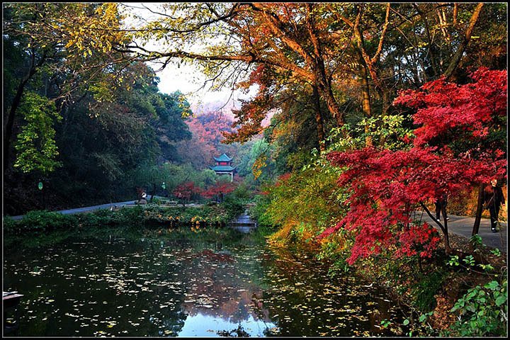 Private Changsha Historic and Cultural Tour to Provincial Museum and Yuelu Mount