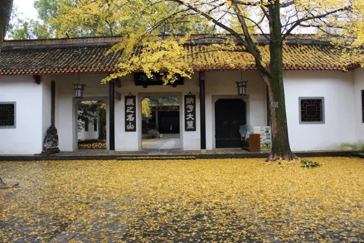 Private Changsha Historic and Cultural Tour to Provincial Museum and Yuelu Mount