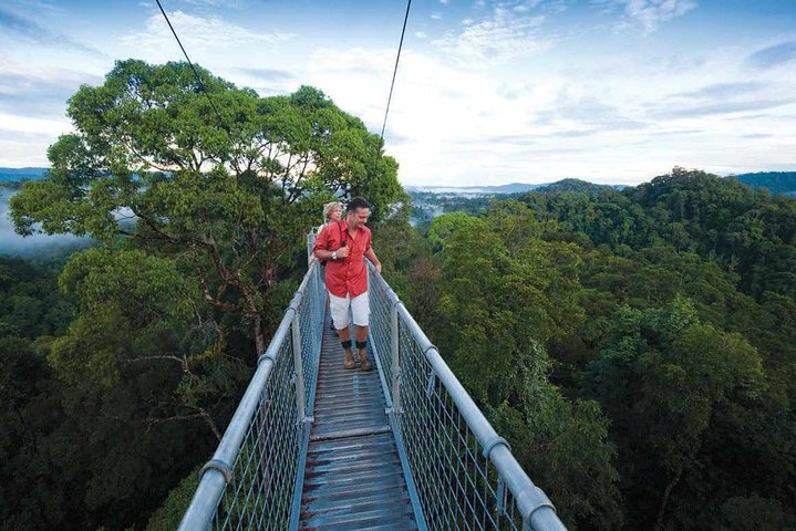 Full Day Trip of Brunei Ulu Temburong National Park including Canopy Walk