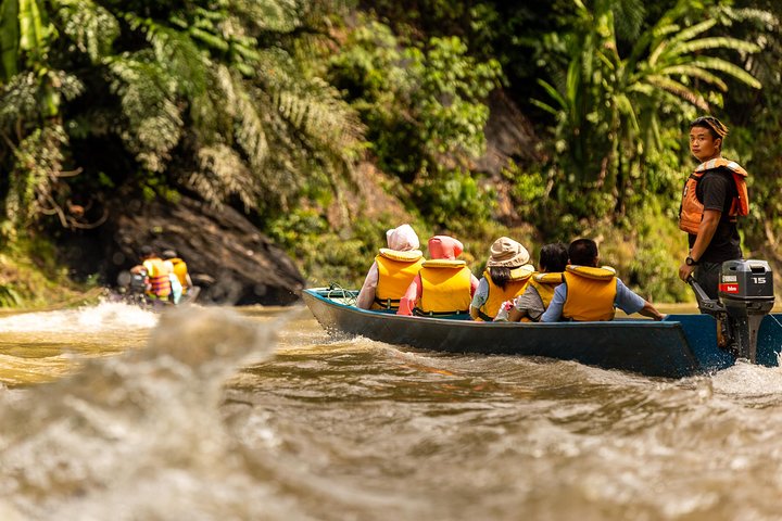 Full Day Trip of Brunei Ulu Temburong National Park including Canopy Walk