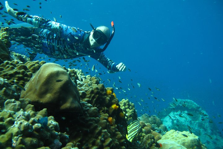 Koh Chang Freedive Trip ( Start at Koh Chang)