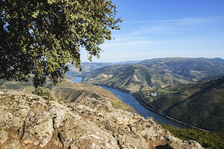 Douro Full Day Tour with Wine Tasting and Lunch