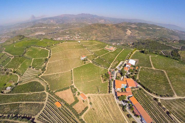 Driver with Private Vehicle in the Douro Valley