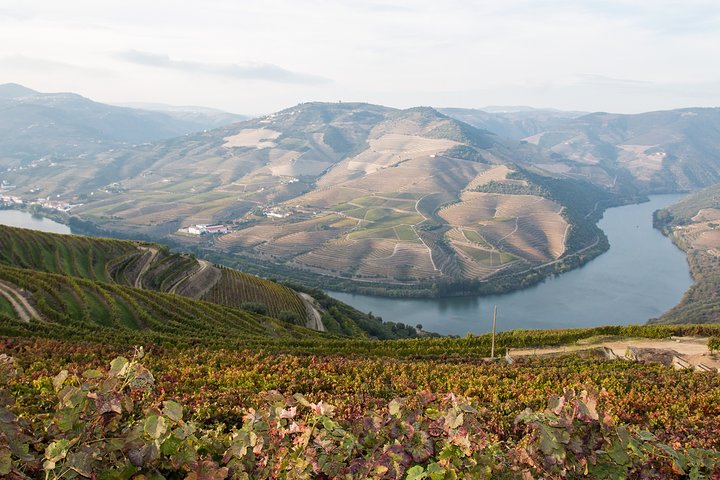 Douro Full Day Tour with Wine Tasting and Lunch