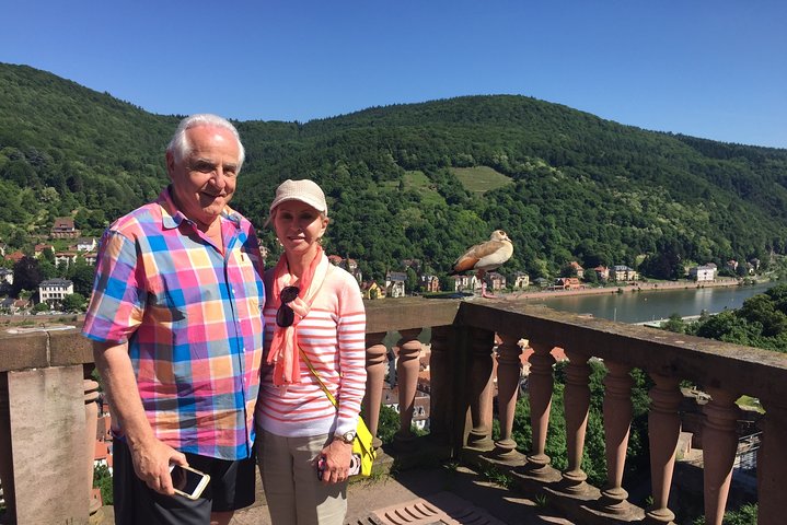 Exclusive Private Tour of Heidelberg.