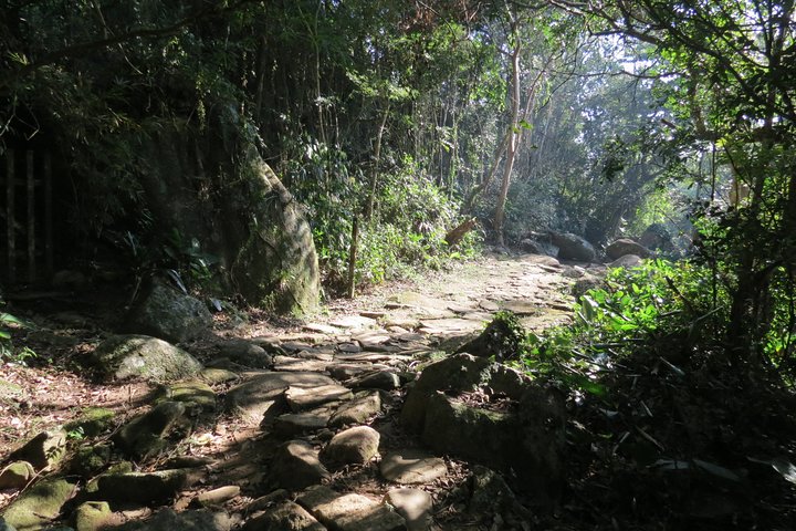 Navigate the local culture of Costa da Lagoa