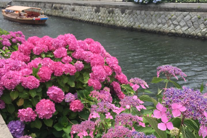 Tour around Matsue Horikawa