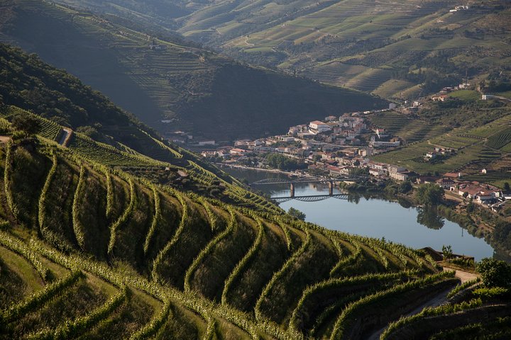 Wine experience with a sommelier