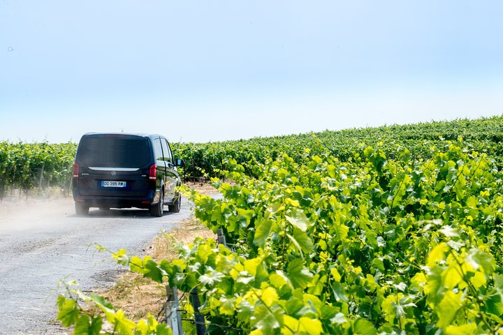 Reims afternoon tour Champagne and family growers