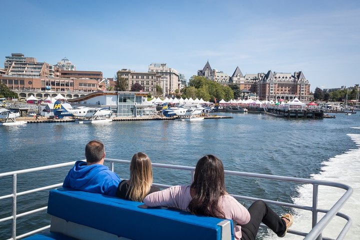 Victoria Half-Day Whale Watching Adventure with Free Photos