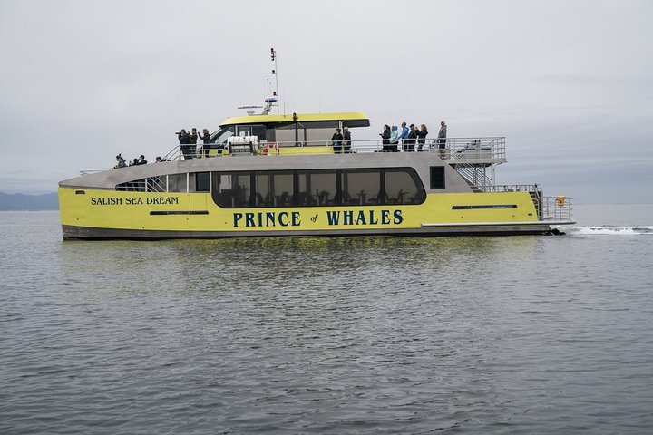 Vancouver Half-Day Whale Watching Adventure with Free Photos