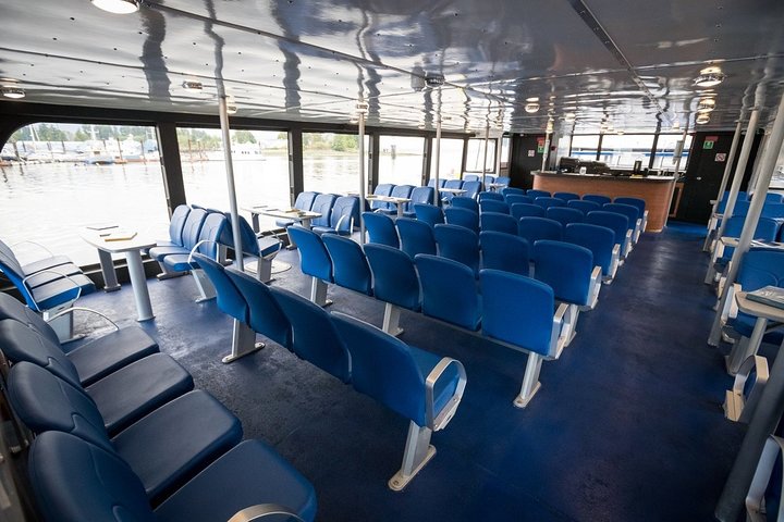 Vancouver Half-Day Whale Watching Adventure with Free Photos