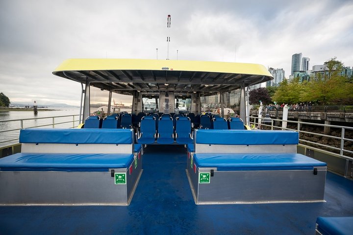 Vancouver Half-Day Whale Watching Adventure with Free Photos