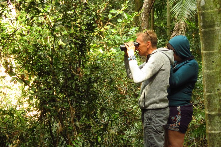 Byron Bay Wildlife Safari