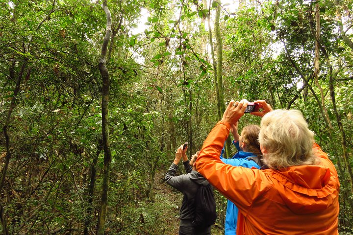 Byron Bay Wildlife Safari