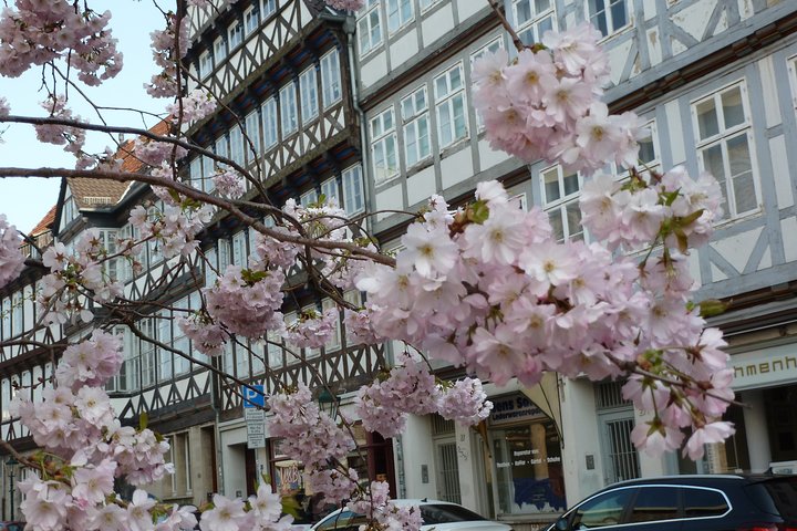 Private Hannover City Tour